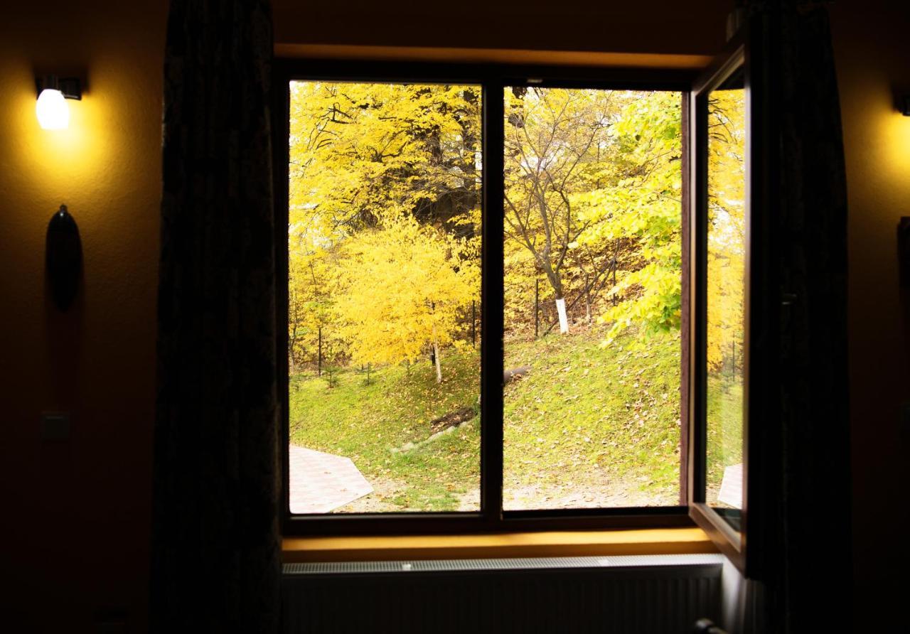 Stejarul Lui Andrei Hotel Izvoarele  Luaran gambar