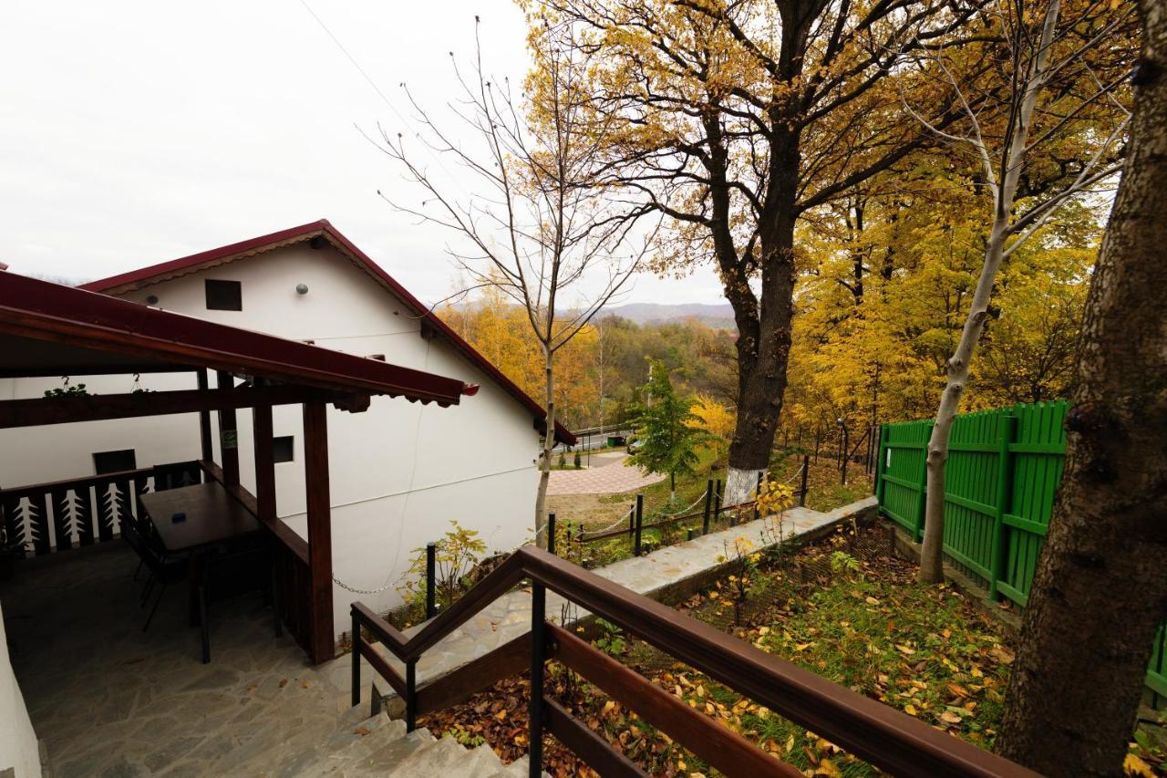 Stejarul Lui Andrei Hotel Izvoarele  Luaran gambar